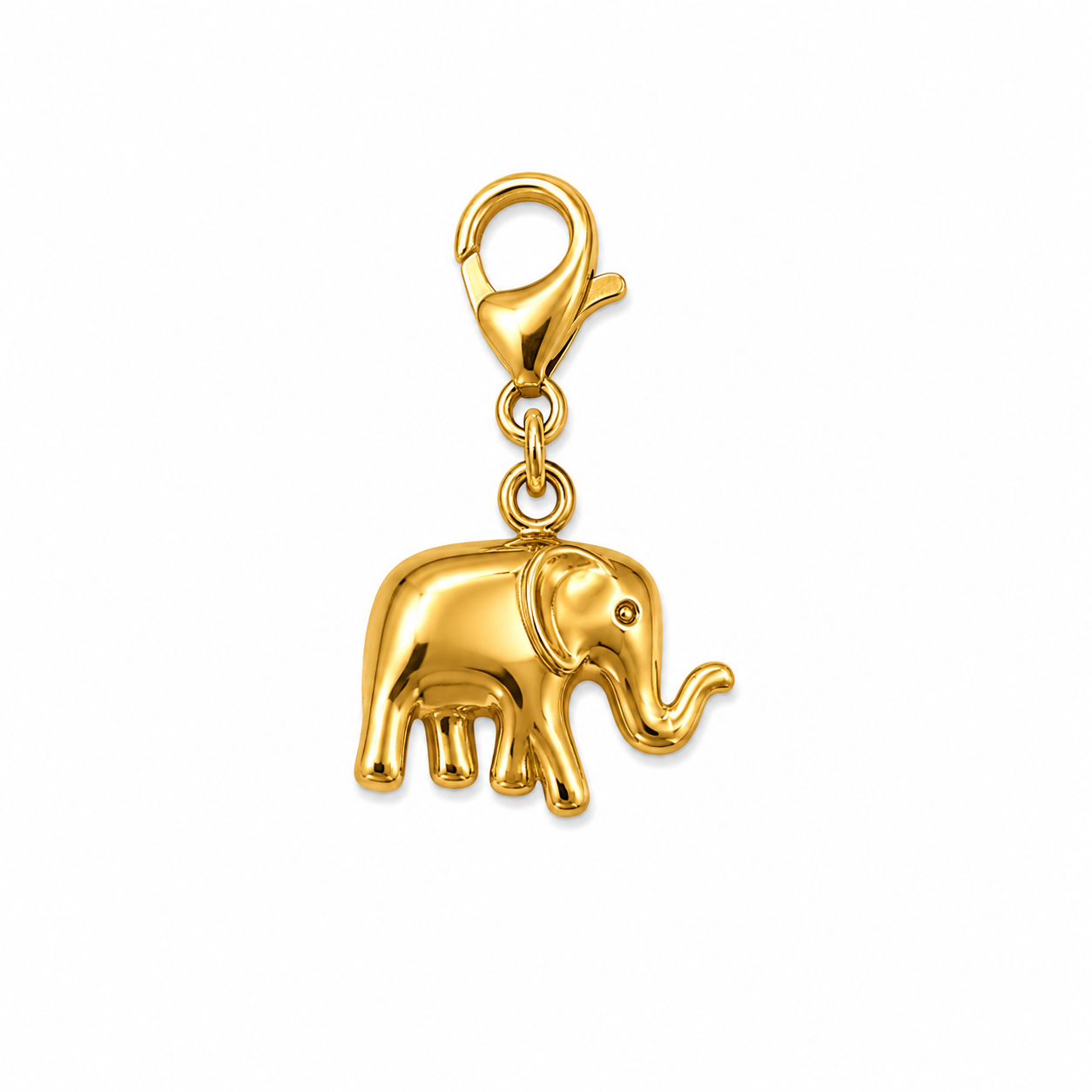 CHARM 39 | Lucky Elephant